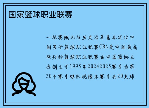 国家篮球职业联赛